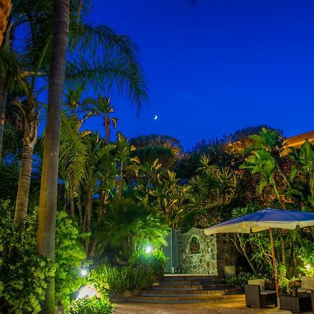 Villa Marylu' Ischia Dış mekan fotoğraf