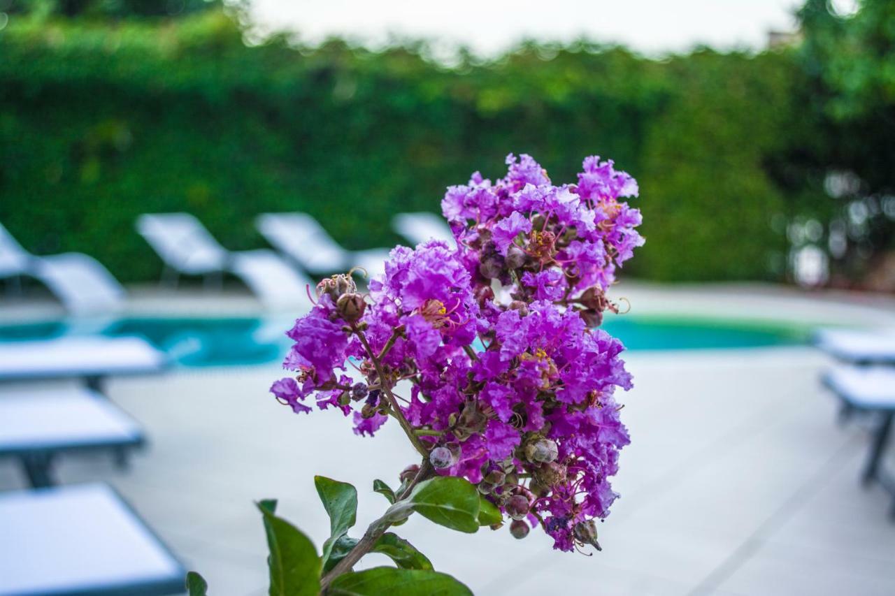 Villa Marylu' Ischia Dış mekan fotoğraf
